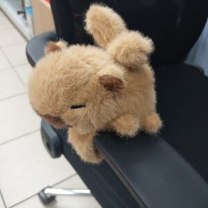 Maskotka Pluszowa na Rękę